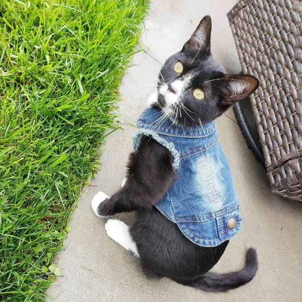 Cat Denim Vest Jacket - Casual Cotton Coat for Kittens & Small Cats