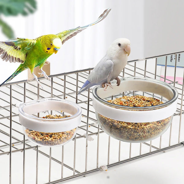 Detachable Transparent Bird Feeding Bowl - Hanging Cup for Parrots and Finches
