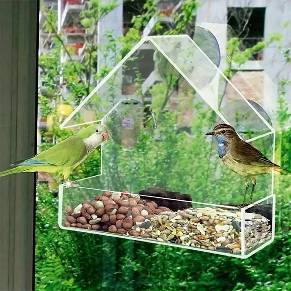 Clear Window Bird Feeder House - Acrylic Outdoor Hanging Feeder