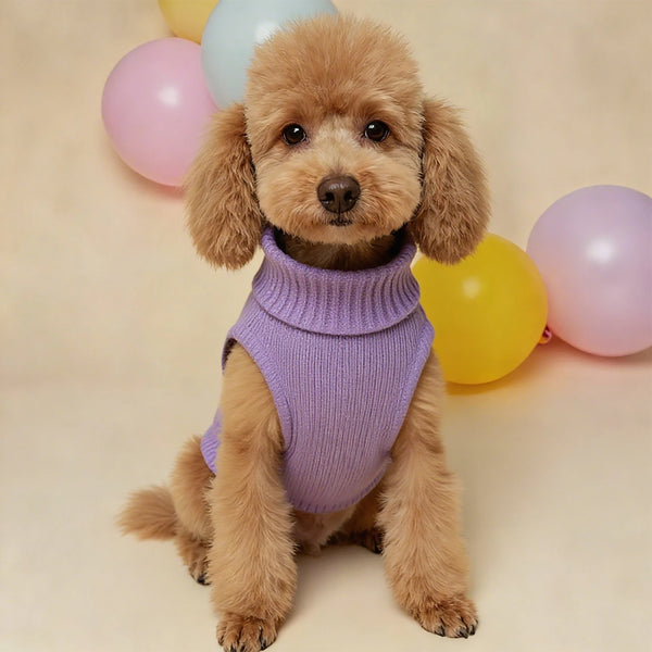 Lightweight Winter Dog Sweater - Soft Warm Pet Knit for Everyday Outings