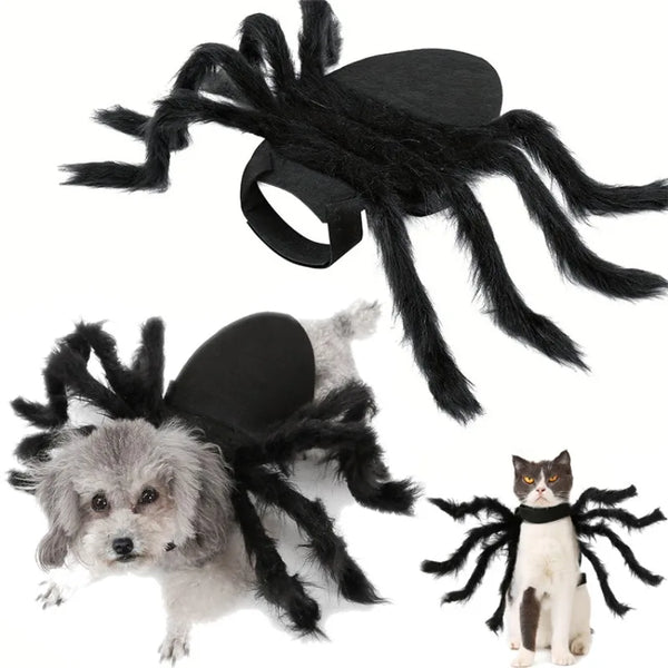 Halloween Spider Pet Costume - Funny Cosplay Outfit for Dogs & Cats
