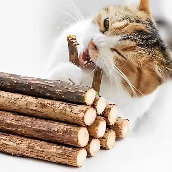 Natural Catnip Chew Sticks - Dental Molar Toys for Cats