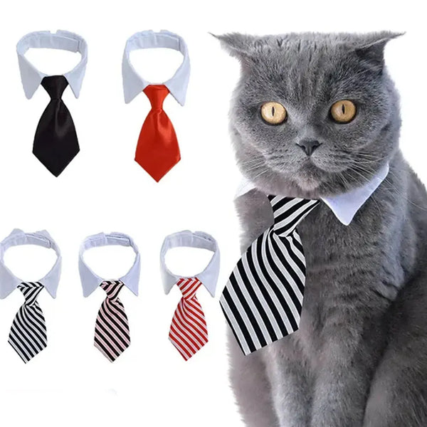 Formal Pet Bow Tie Collar - Adjustable Neck Tie for Small Dogs & Cats