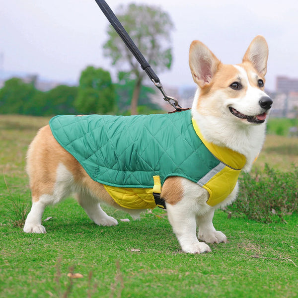 Padded Waterproof Dog Vest - Warm Winter Jacket for Small & Large Dogs