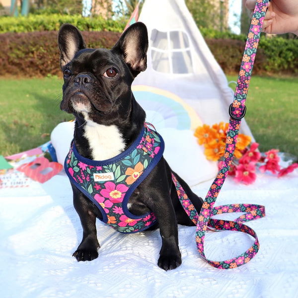 Printed Mesh Dog Harness & Leash Set - Adjustable Nylon Vest for Small Pets
