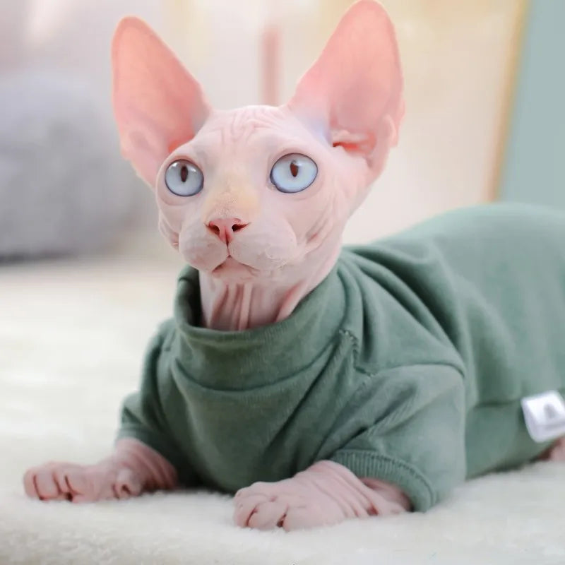 Sphynx Cat Hoodie Set - Warm Cotton Vest & Pajamas for Winter Comfort