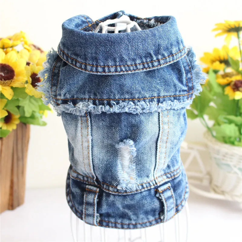Cat Denim Vest Jacket - Casual Cotton Coat for Kittens & Small Cats