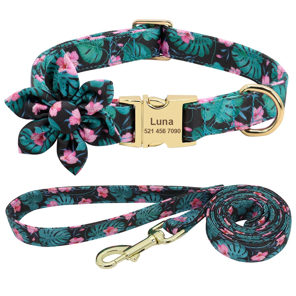 Custom Engraved Dog Collar and Leash Set - Personalized ID Walking Collar