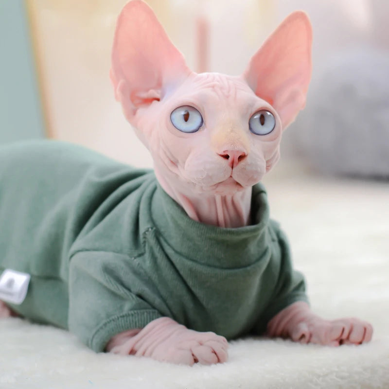 Sphynx Cat Hoodie Set - Warm Cotton Vest & Pajamas for Winter Comfort