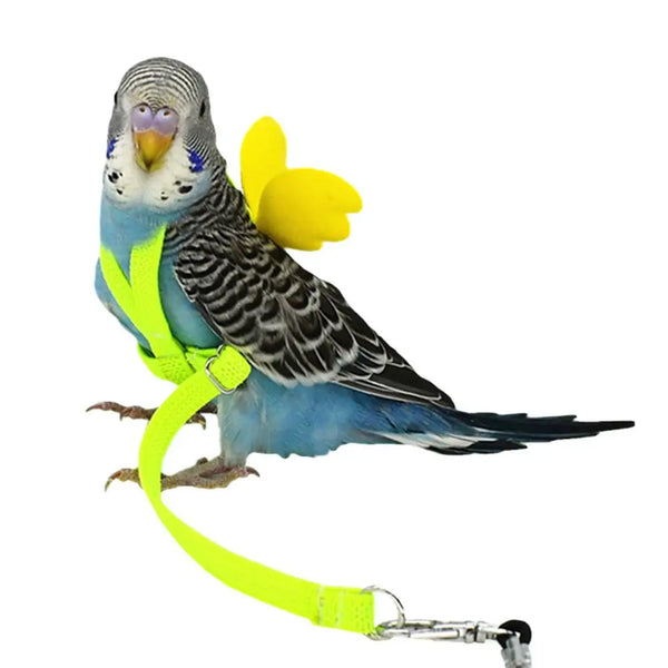 Adjustable Bird Harness and Leash Set - Training Lead for Parrots & Small Birds