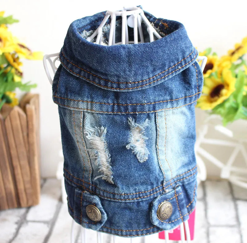 Cat Denim Vest Jacket - Casual Cotton Coat for Kittens & Small Cats