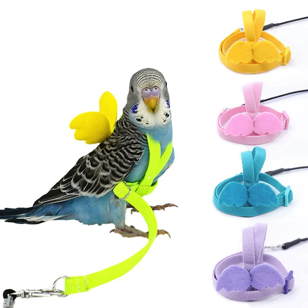 Adjustable Bird Harness and Leash Set - Training Lead for Parrots & Small Birds