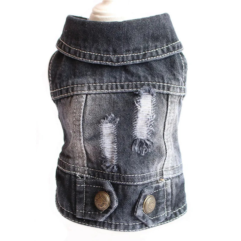 Cat Denim Vest Jacket - Casual Cotton Coat for Kittens & Small Cats
