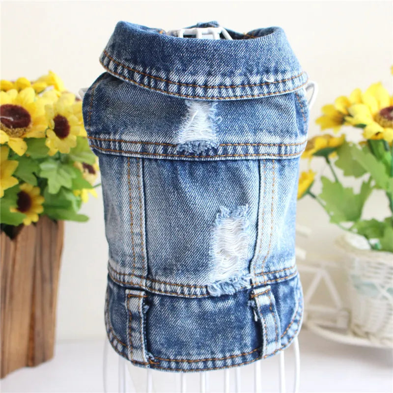 Cat Denim Vest Jacket - Casual Cotton Coat for Kittens & Small Cats