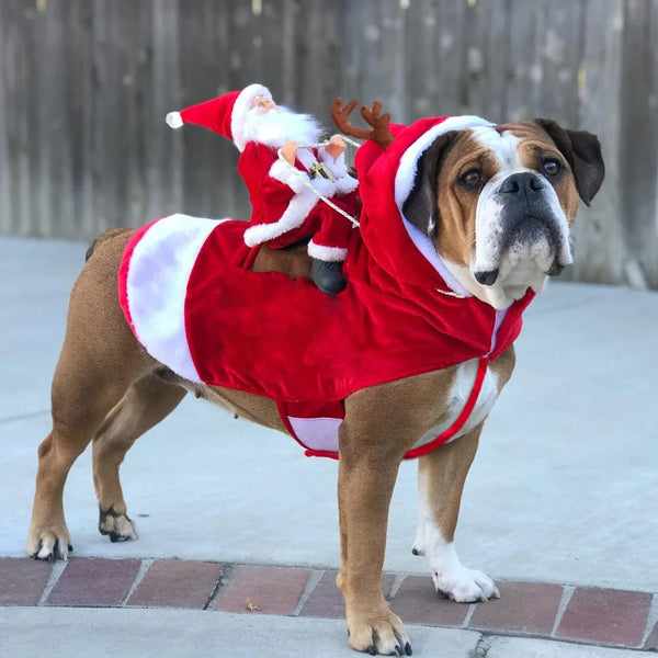 Funny Christmas Pet Costume - Santa Holiday Outfit for Dogs & Cats