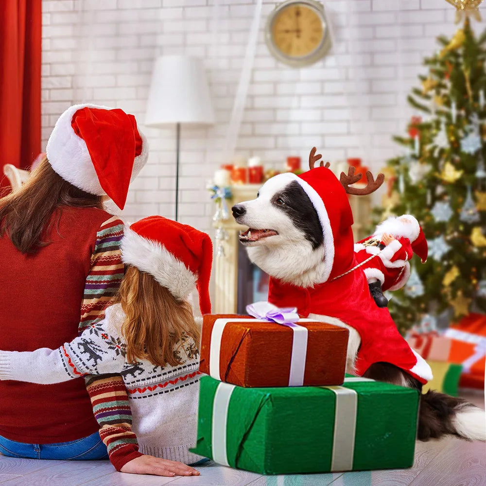 Funny Christmas Pet Costume - Santa Holiday Outfit for Dogs & Cats