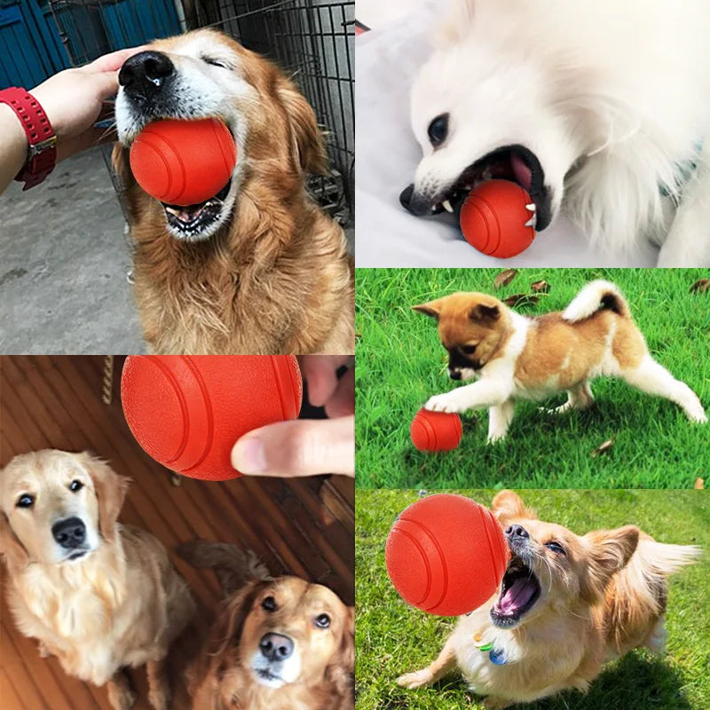 Bite-Resistant Rubber Dog Ball - Durable Interactive Chew Toy for Active Play