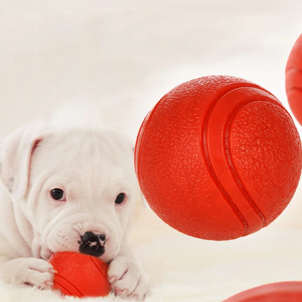 Bite-Resistant Rubber Dog Ball - Durable Interactive Chew Toy for Active Play