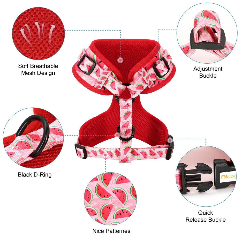 Printed Mesh Dog Harness & Leash Set - Adjustable Nylon Vest for Small Pets