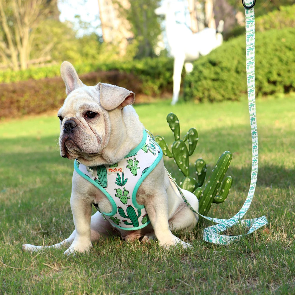 Printed Mesh Dog Harness & Leash Set - Adjustable Nylon Vest for Small Pets