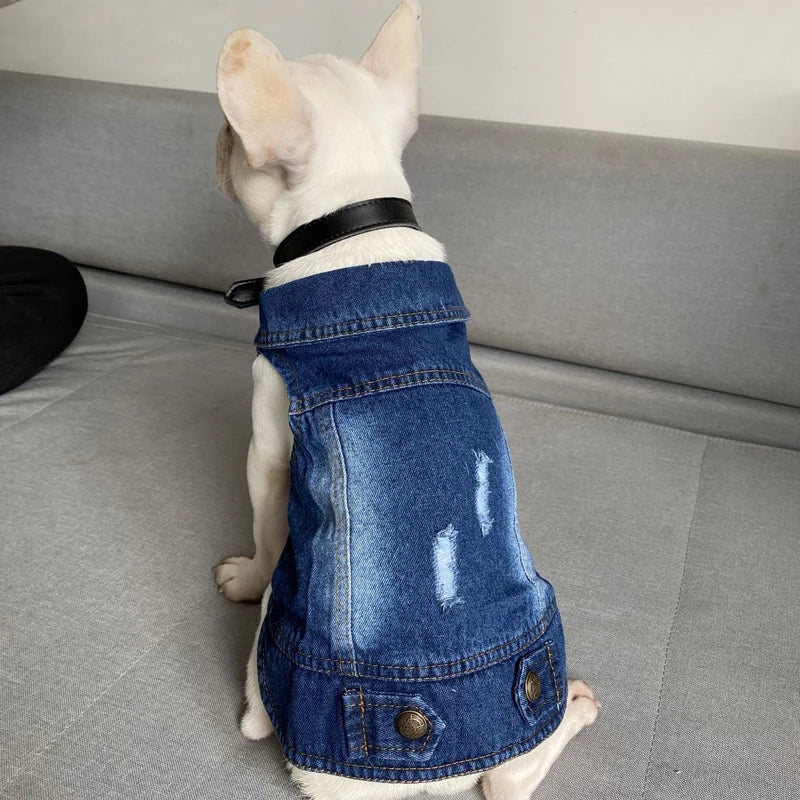 Cat Denim Vest Jacket - Casual Cotton Coat for Kittens & Small Cats