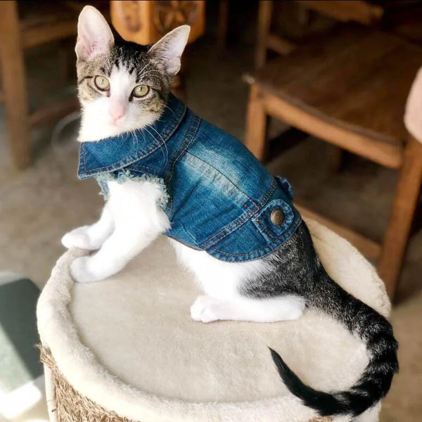 Cat Denim Vest Jacket - Casual Cotton Coat for Kittens & Small Cats