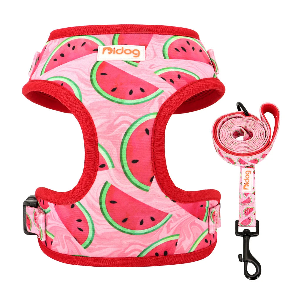 Printed Mesh Dog Harness & Leash Set - Adjustable Nylon Vest for Small Pets