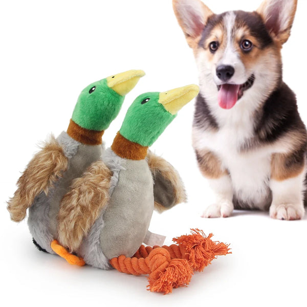 Plush Duck Dog Toy - Squeaky Chew Rope for Playtime & Teeth Cleaning