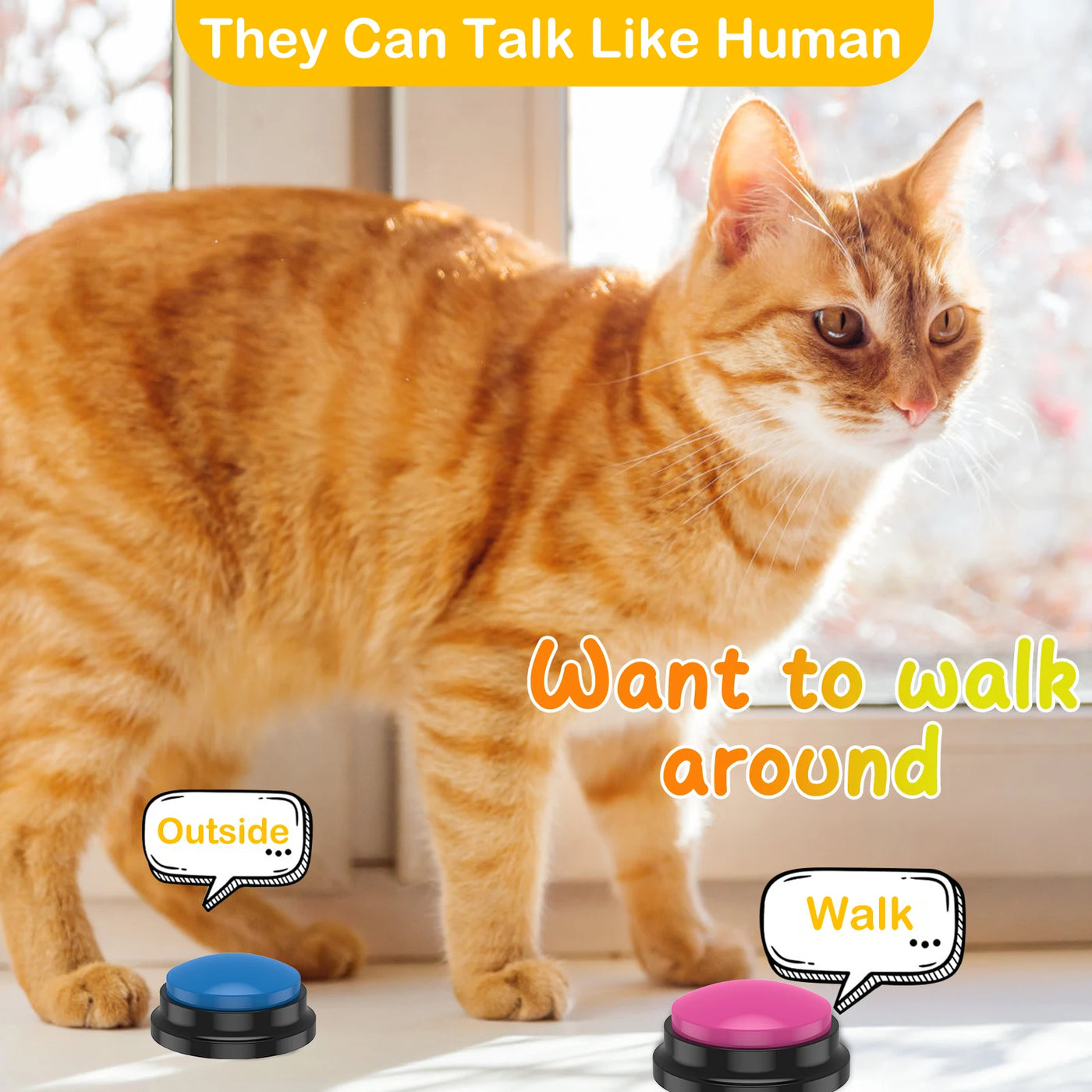 Recordable Dog Training Buttons Set - Interactive Talking Buzzers with Light