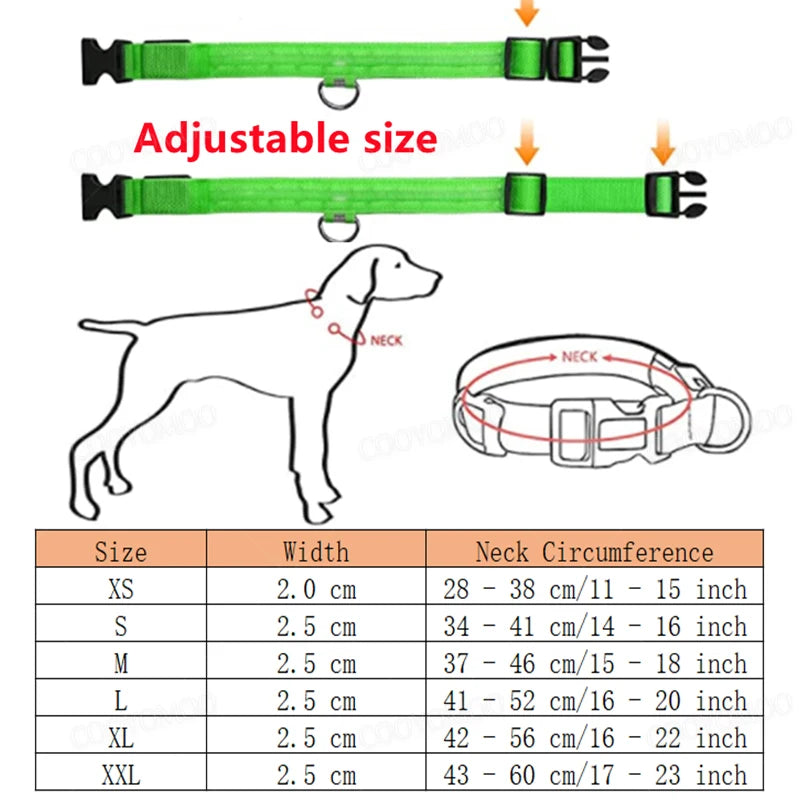 USB LED Dog Collar - Rechargeable Luminous Safety Collar for Night Walks