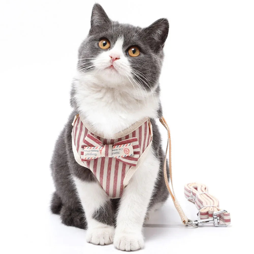 Breathable Mesh Pet Harness Set - Adjustable Leash Vest for Small Dogs & Cats