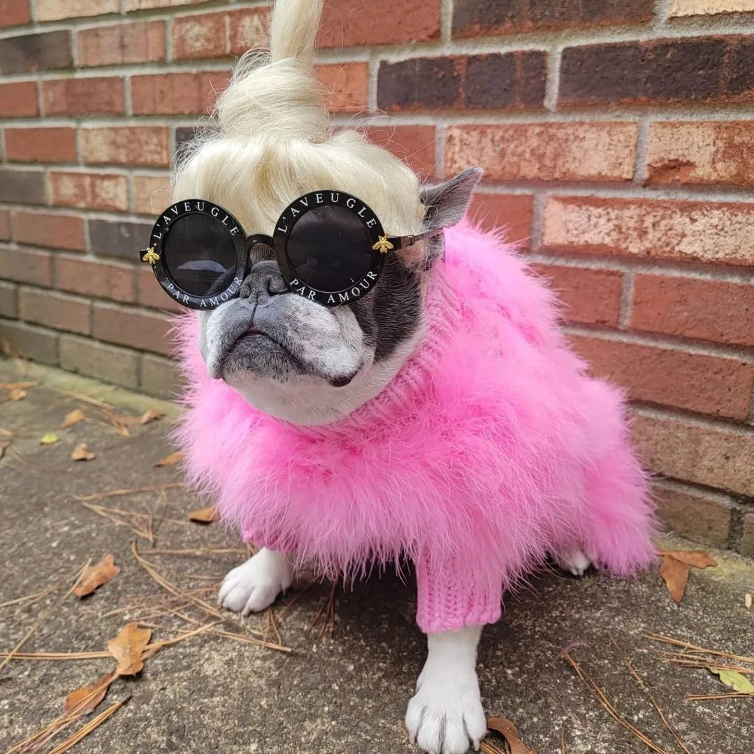 Fluffy Party Dog Sweater - Soft Warm Pet Knit for Autumn & Winter Style