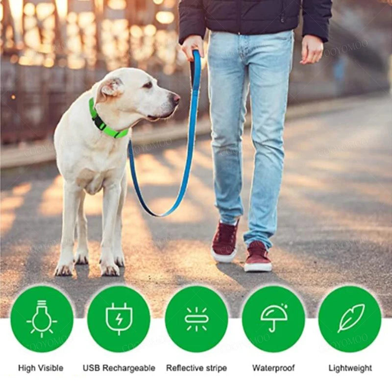 USB LED Dog Collar - Rechargeable Luminous Safety Collar for Night Walks
