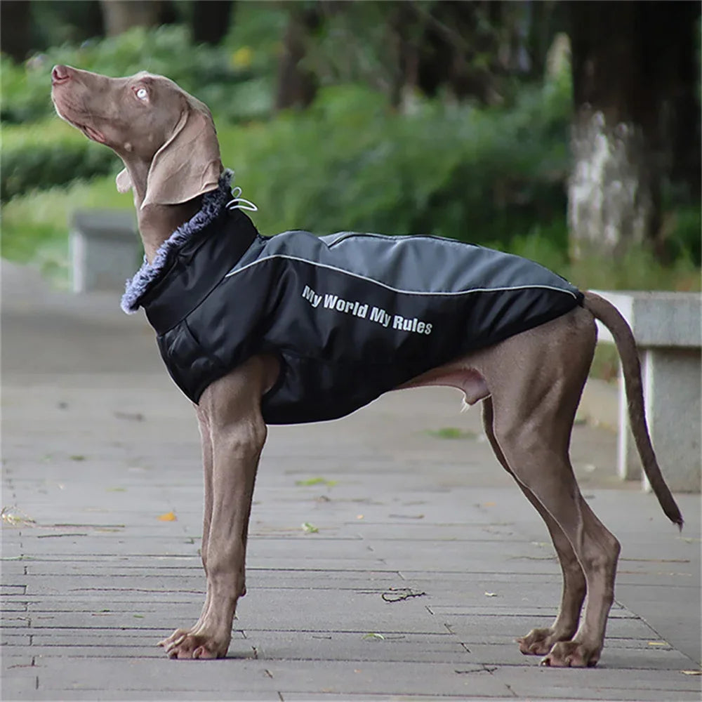 Big Dog Winter Coat with Fur Collar - Thick Warm Jacket for Medium & Large Breeds