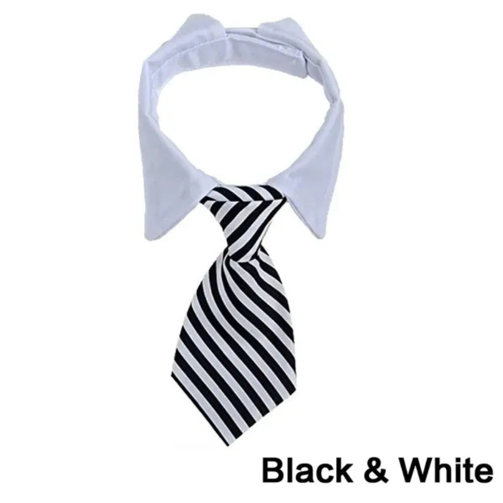 Formal Pet Bow Tie Collar - Adjustable Neck Tie for Small Dogs & Cats