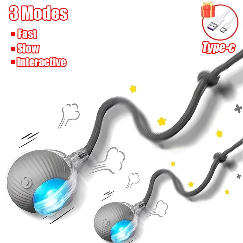 Rechargeable Rolling Cat Ball Toy - Faux Tail Interactive Teaser for Cats
