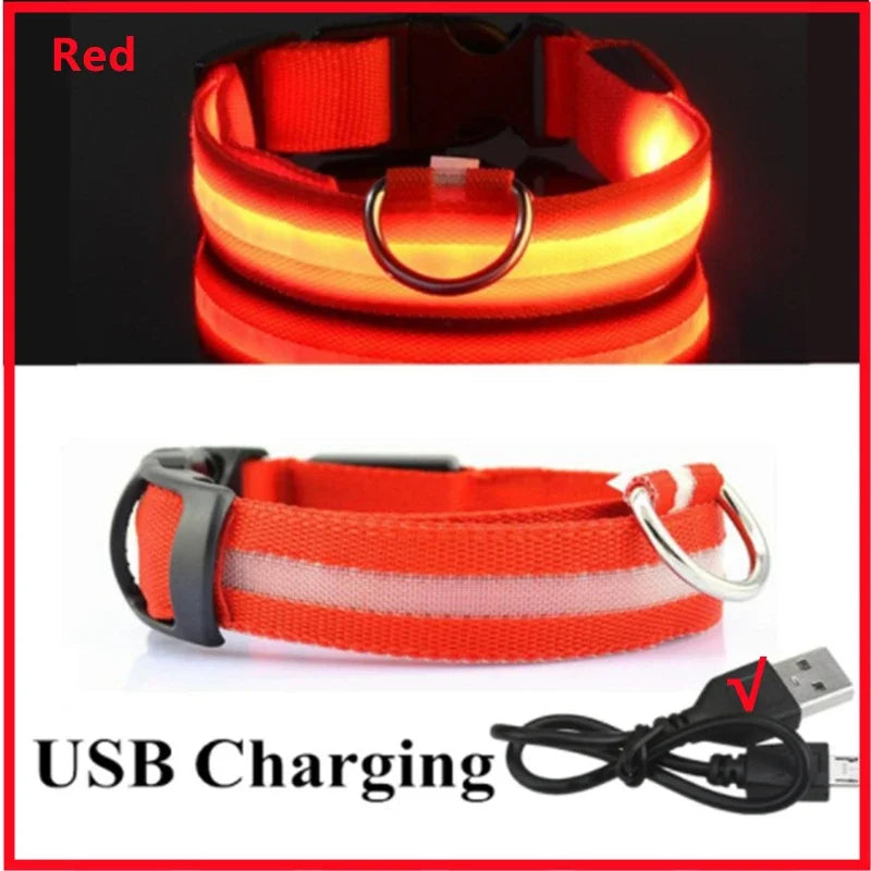 USB LED Dog Collar - Rechargeable Luminous Safety Collar for Night Walks