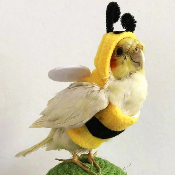 Bee Costume for Birds - Soft Hoodie Outfit for Parrots and Small Pets