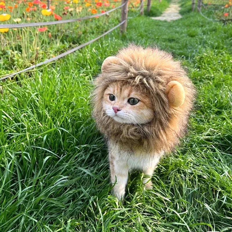 Lion Mane Cat Hat - Cute Pet Headgear for Photos, Parties & Dress-Up