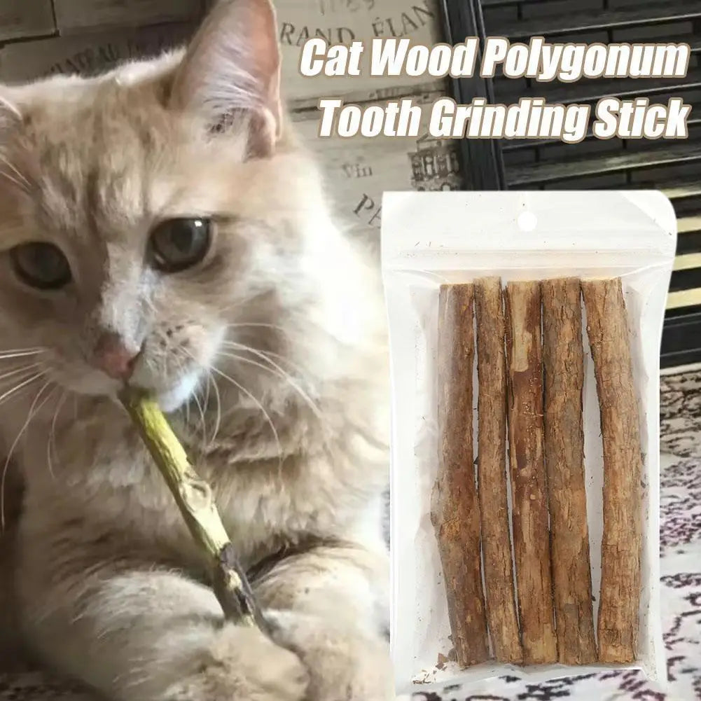 Natural Catnip Chew Sticks - Dental Molar Toys for Cats