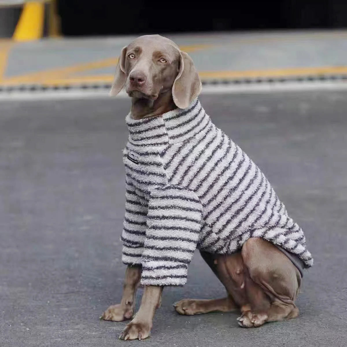 Striped Turtleneck Dog Sweater - Fleece Pullover for Medium & Large Dogs
