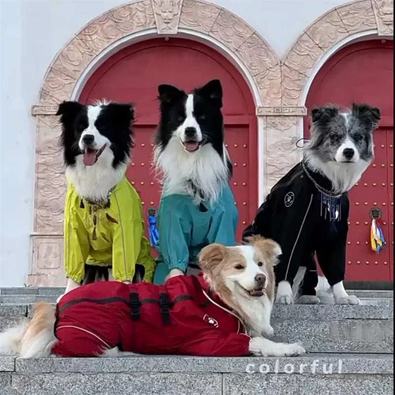 Reflective Waterproof Dog Raincoat - Adjustable Jacket for Autumn & Winter Walks