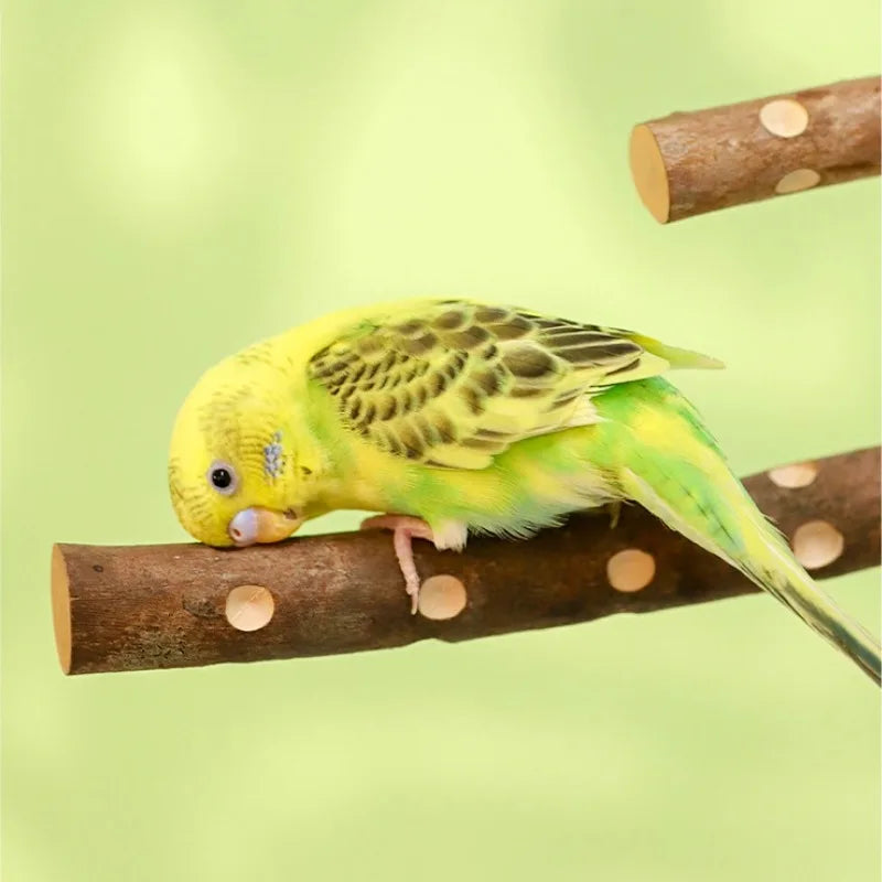 Natural Wood Bird Perch Stand - Branch Grinding Rod for Budgies & Cockatiels