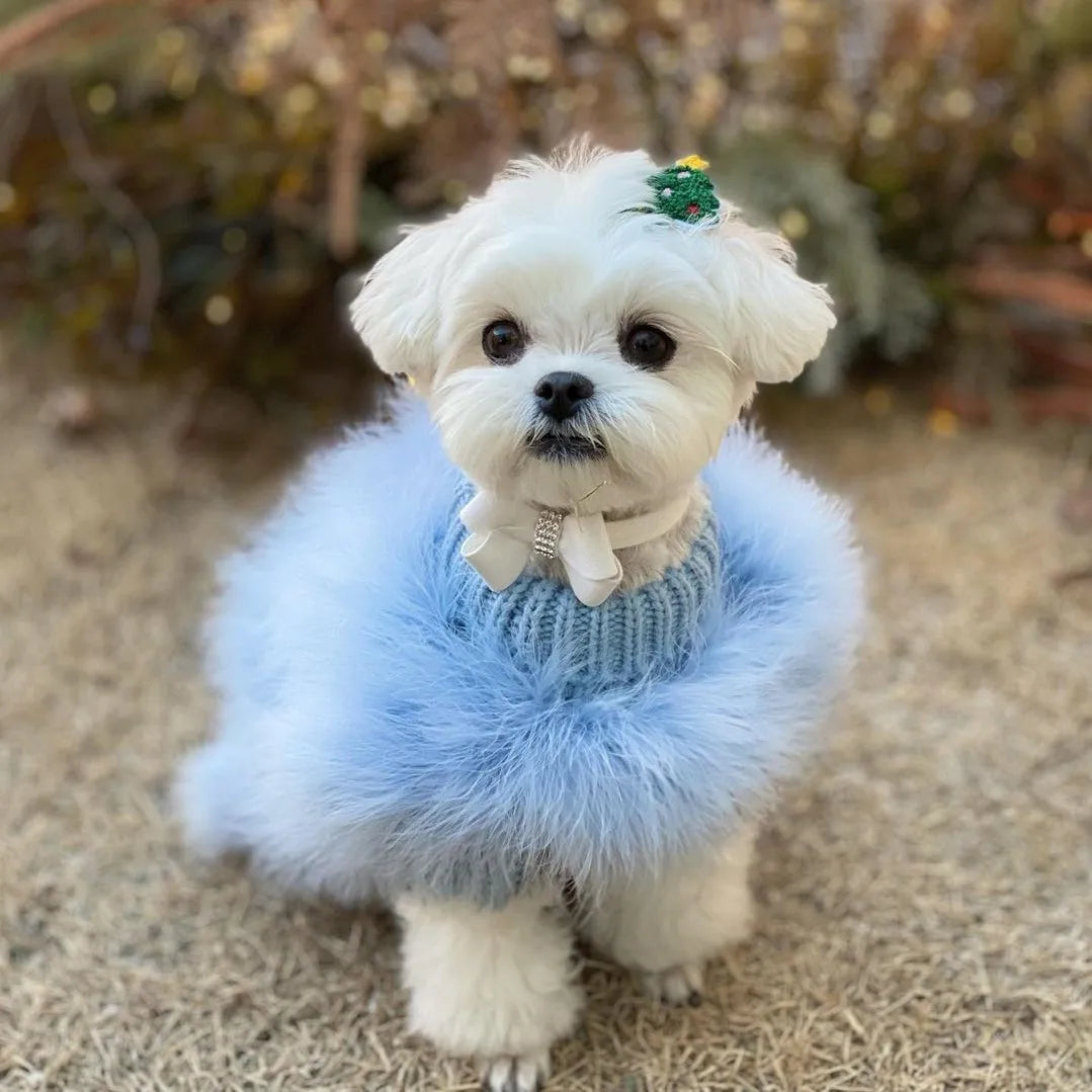 Fluffy Party Dog Sweater - Soft Warm Pet Knit for Autumn & Winter Style