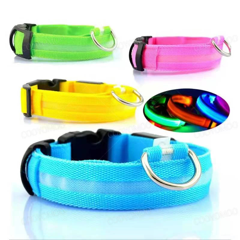 USB LED Dog Collar - Rechargeable Luminous Safety Collar for Night Walks