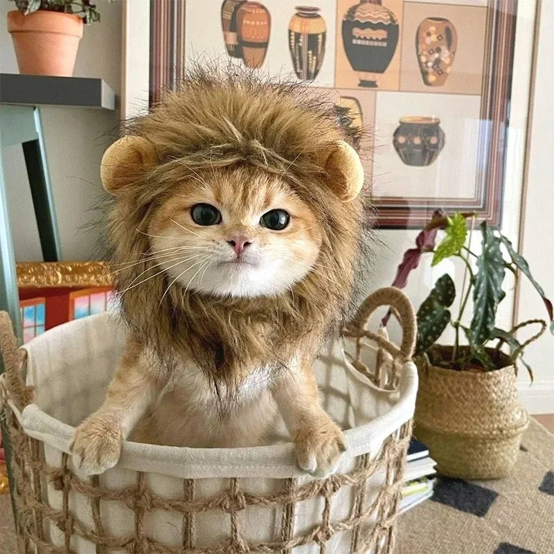 Lion Mane Cat Hat - Cute Pet Headgear for Photos, Parties & Dress-Up