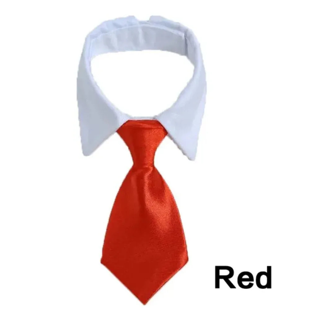 Formal Pet Bow Tie Collar - Adjustable Neck Tie for Small Dogs & Cats