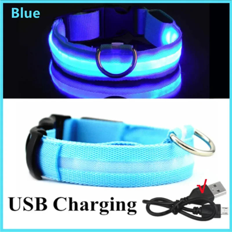 USB LED Dog Collar - Rechargeable Luminous Safety Collar for Night Walks