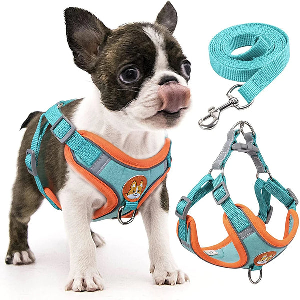 Reflective Step-In Dog Harness Set - Soft Adjustable Vest for Puppies & Small Dogs