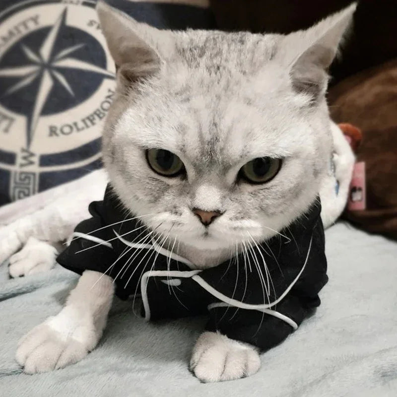 Christmas Cat Hoodie Suit - Cozy Holiday Outfit for Sphynx & Indoor Cats